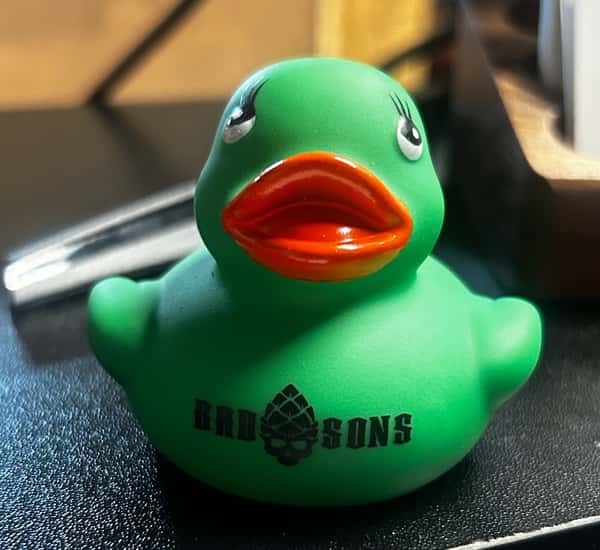 duck