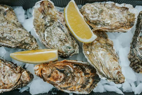 oysters