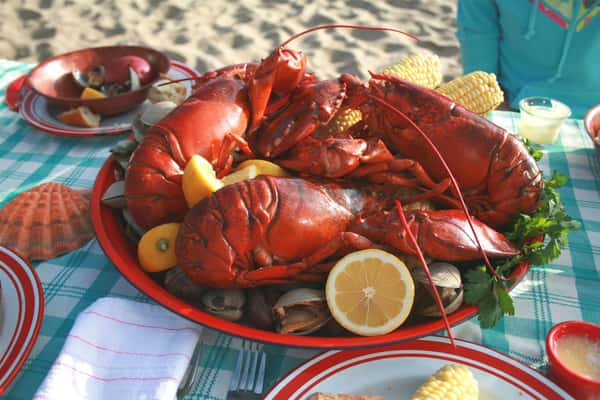 three lobsters on a plate with clams, mussels, corn on the cob and orange wedges