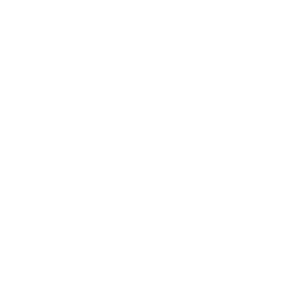 lion icon