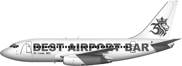 airplane graphic