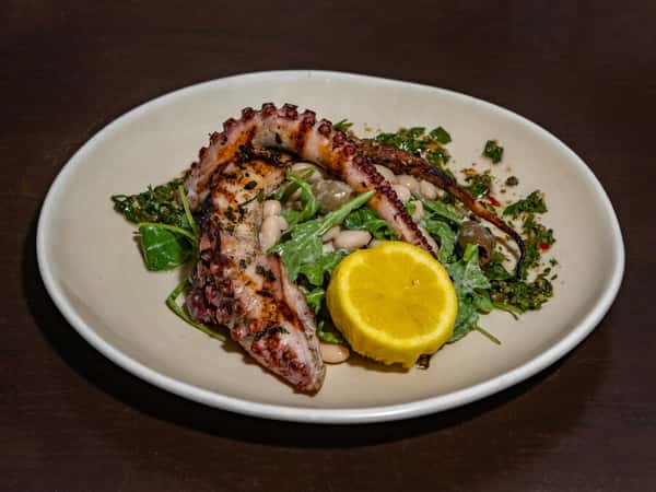 Octopus