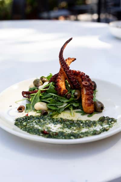 Grilled octopus served on arugula with olives, garlic cloves, and herb sauce on a white plate.