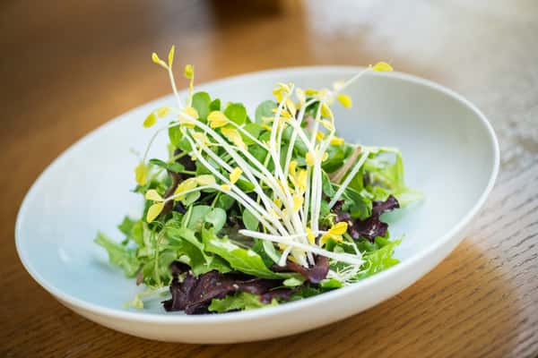 Field Green Salad with Creamy Ginger Dressing