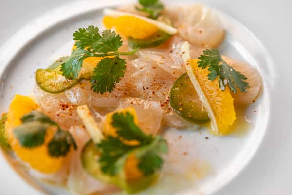 Crudo