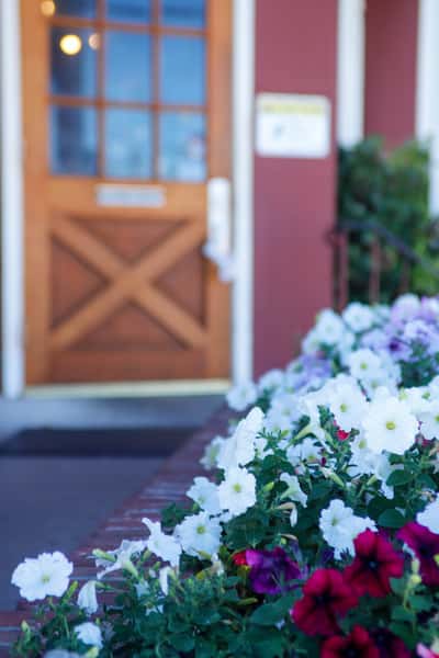 exterior flowers
