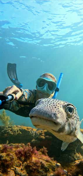 fish