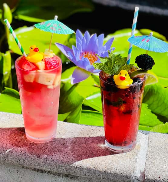 Watermelon Pineapple Lemonade
