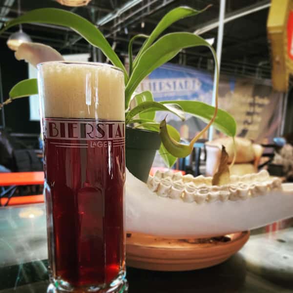 Lager by plant