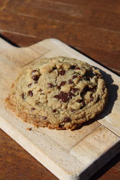 Vegan GF/DF Chocolate Chip Cookie