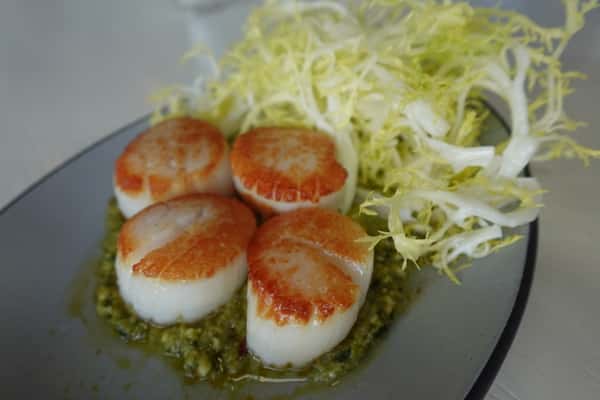 Diver Scallops
