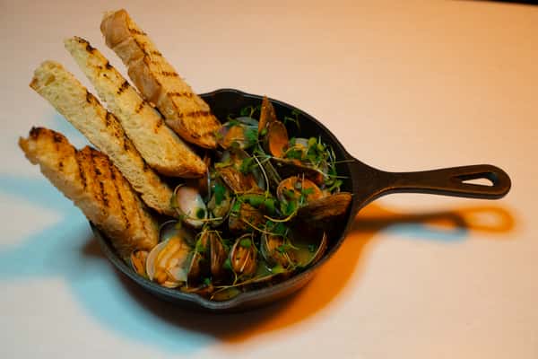 Steamer Clams