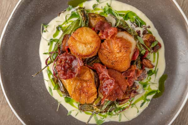 scallops near me