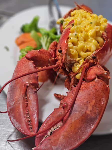 1.25lb lobster stuffed Mac and cheese