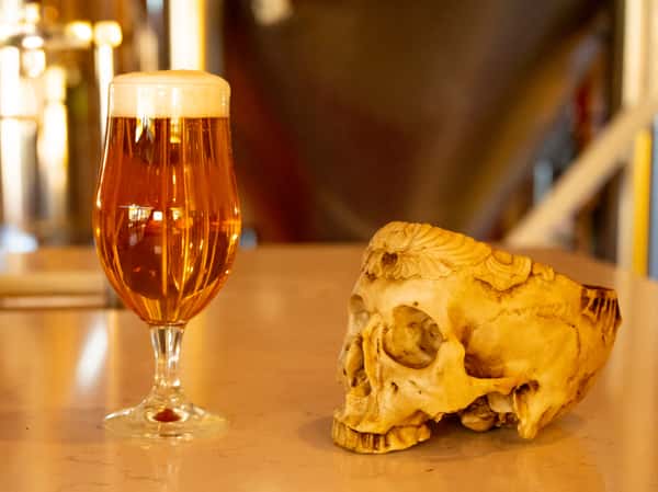 beer and skull