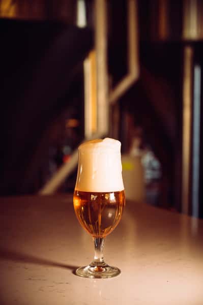 beer in glass