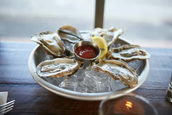 oysters