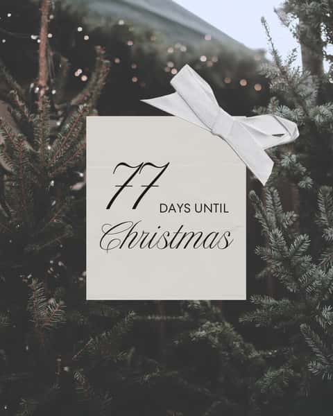 🎄✨ Christmas is ONLY 77 days away! ✨🎄

That means it’s officially time to start planning those holiday parties! 🎅🏼🥂

Whether you’re planning a company Christmas party, family gathering, friends’ night out, or holiday celebration, we’d love to host you at West Side Event Center! ❤️

📅 Now is the perfect time to reserve your date!

To get started, you can:
📩 Message us here on Facebook
📧 Email us at wsec@bbc.net
📝 Fill out our booking form using the link in our bio!

Don’t wait until the holiday rush—get your party on the calendar now! 🎄✨

We can’t wait to celebrate the season with you! ❤️