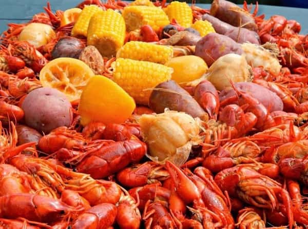 LOTS of Crawfish texas