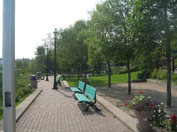 Park benches, flowers, trees in park