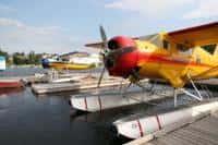 Two docked sea planes