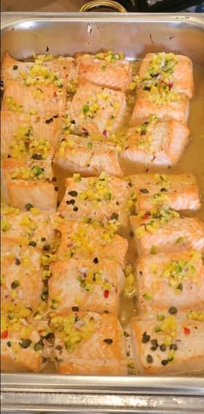 salmon
