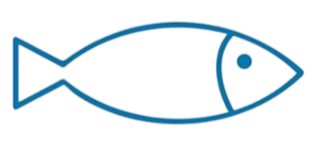 fish illustration