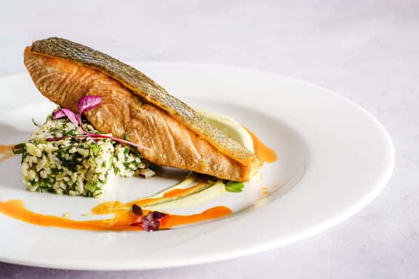 salmon