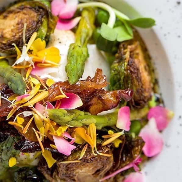 artistically served salad
