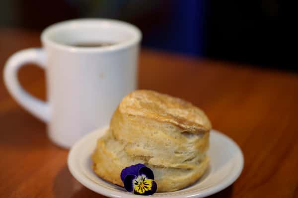 biscuit