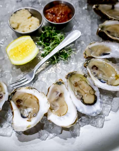oysters
