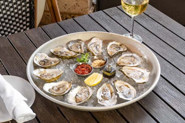 12 Coldwater Oysters