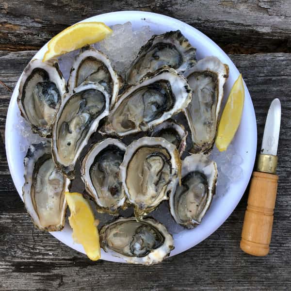 Blue Point Oysters (12)