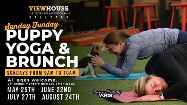 puppy yoga