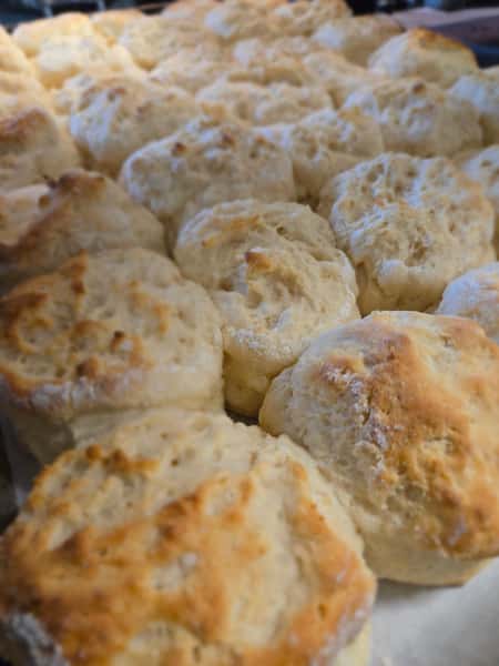 Biscuits'