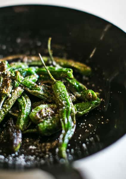 Blistered Shishito Peppers