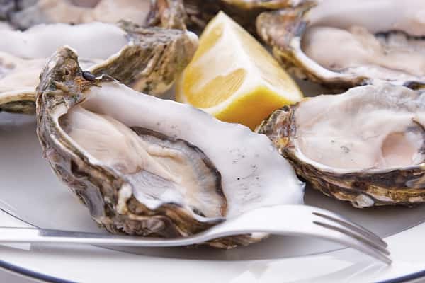 James River Fresh Oysters