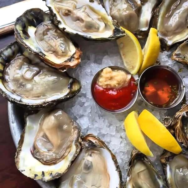 Oysters on ice