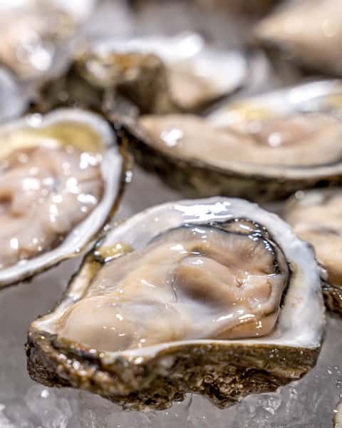 James River Fresh Oysters