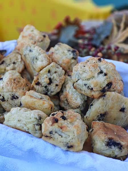 DOZEN SCONES