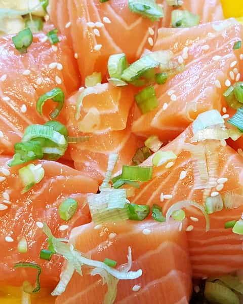 salmon