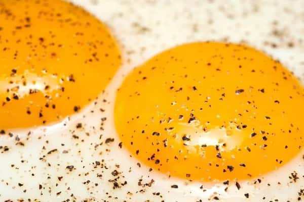 Fried Egg