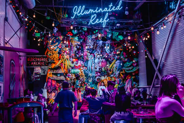 illuminated reef stage at can can wonderland