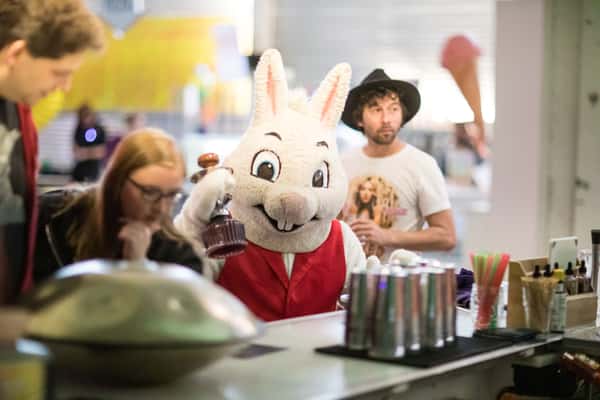 rabbit