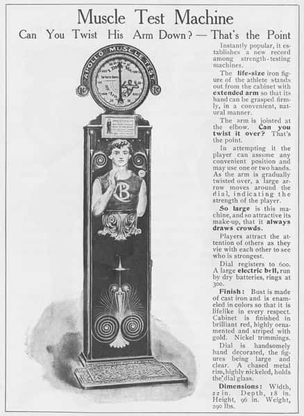 Apollo Muscle Test flyer