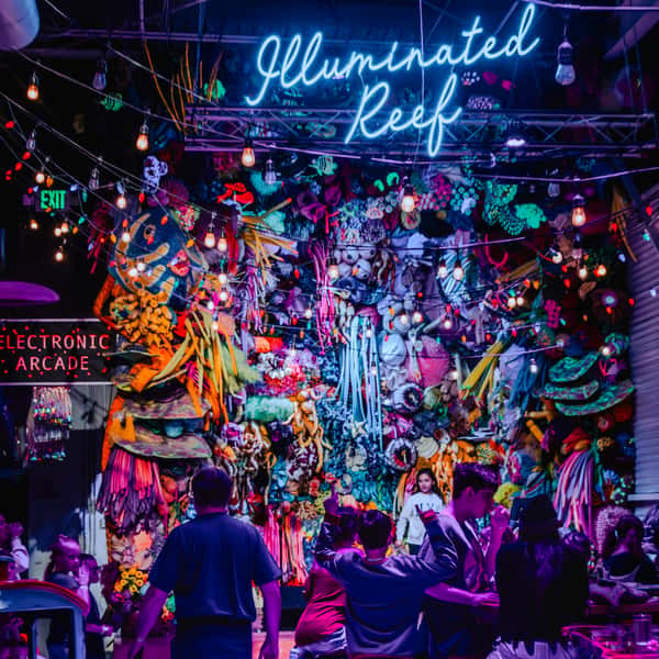 The Illuminated Reef at Can Can Wonderland