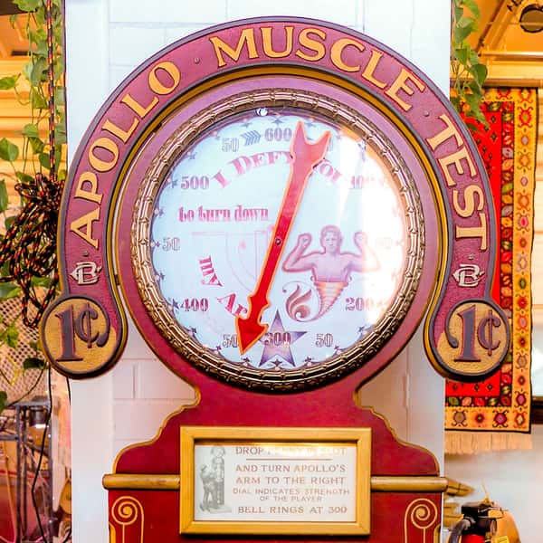 Apollo Muscle Test – meter detail
