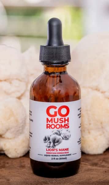 Go Mushrooms - Lion's Mane