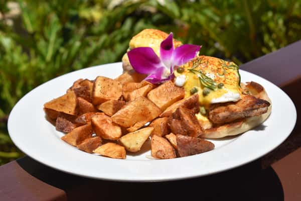 Fresh Catch Benedict
