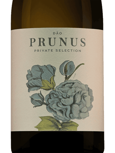 Prunus Branco White Blend, Dao, Portugal
